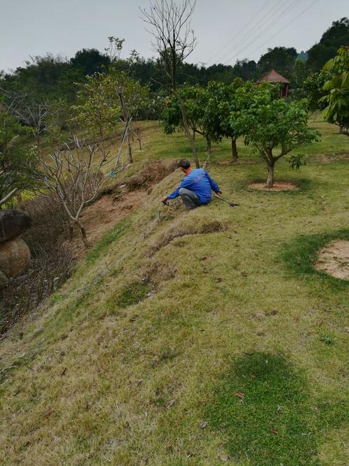 防蛇于未然 中国移动南方基地专业防蛇作业全纪实