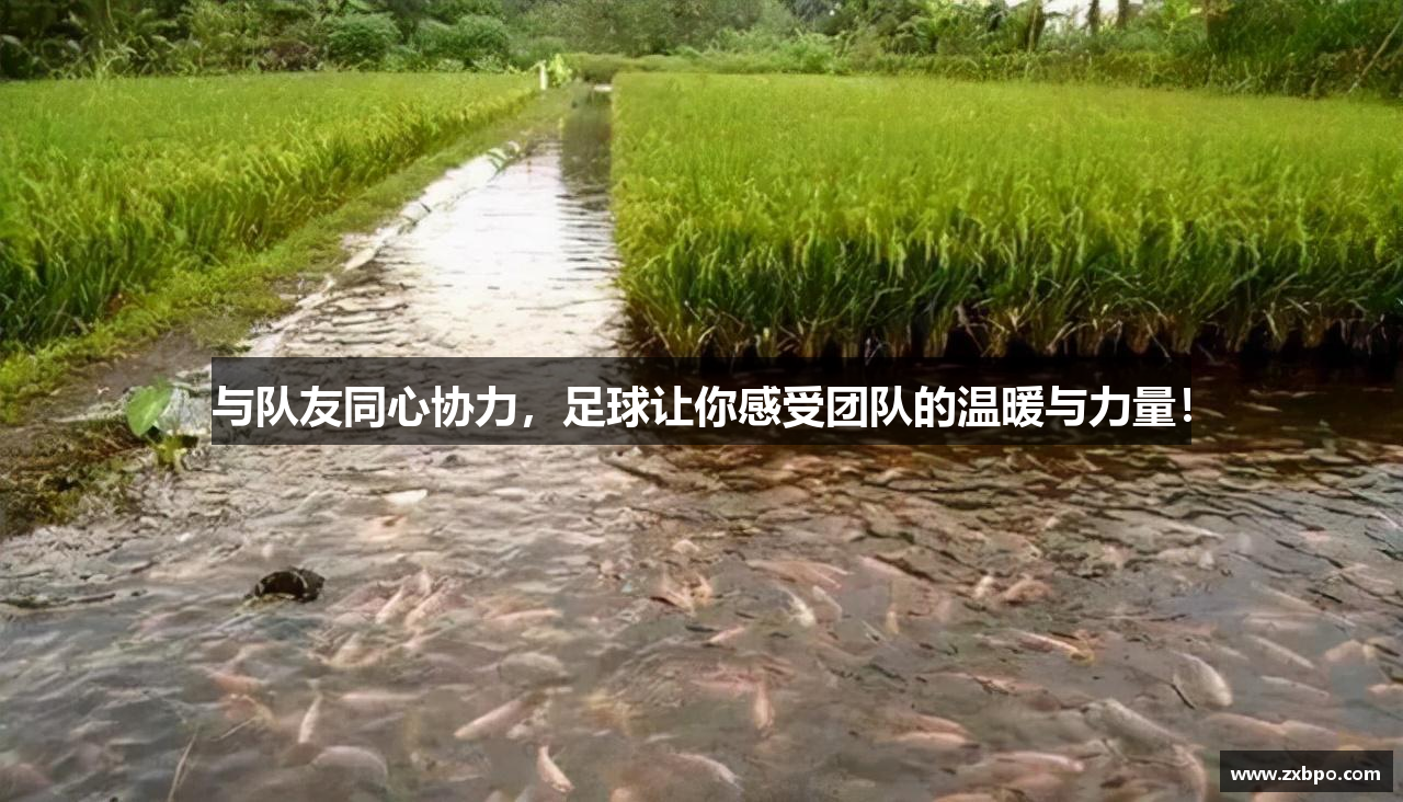 与队友同心协力，足球让你感受团队的温暖与力量！
